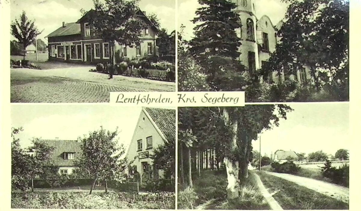 256